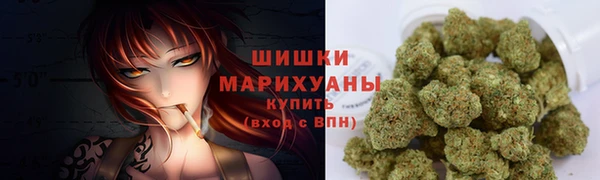 сатива Аркадак
